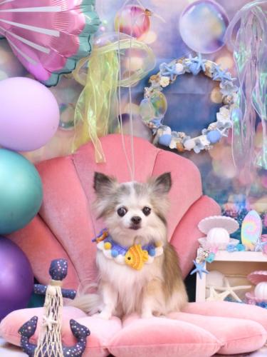 20240811クラウディアちゃん